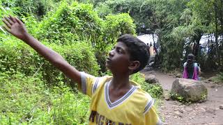 Kerala Trip :--Athirappilly Water Falls