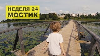 Неделя 24. Мостик