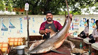 KASIMEDU SPEED SELVAM SHARK FISH CUTTING VIDEO / cutting focus