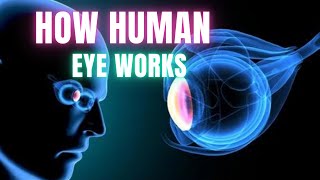 The Visual System: How Your Eyes Work? | Dr Academy