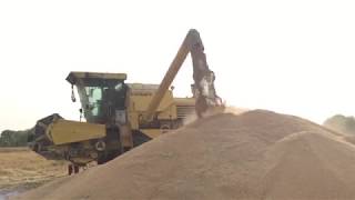 Combine Harvester Work In Pakistan |Khanewal|