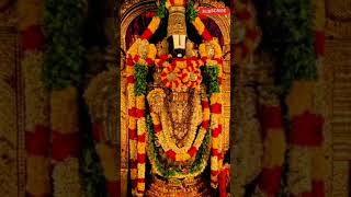 #திருப்பதி பெருமாள் #god#whatappstatus #godsongs #thirupathi