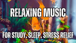 Relaxing music for Stress relief | Fish therapy(Aqua yoga) 4hr |Calm Music | Lofi #aquatherapy #mind