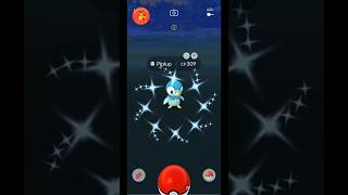 Mastering the Art of Catching Shiny Piplup -A Comprehensive Guide #shiny #pokemongo #pokemon #shorts