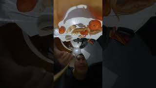 Insta360 eating #shortvideo #funny  #insta360