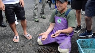 Japan, Through A Lens: Teshio, Hokkaido