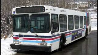 Calgary Transit #7757, 2001 New Flyer D40LF- Route 3 Elbow Drive