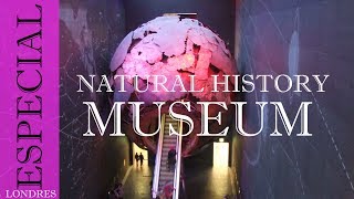 Museo de Historia Natural | Londres