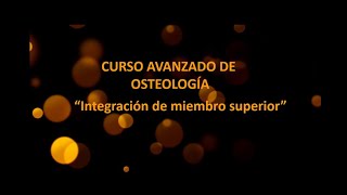 Osteología de miembro superior