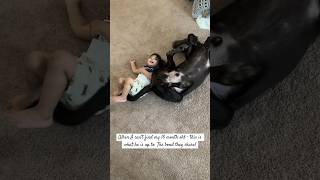 Dog and my 18 month old - The bond they share! #shorts #dogandbabyvideos #terevaaste