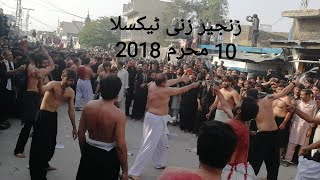 Zanjeer Zani In Taxila 2018 10 Muharram 1440 H