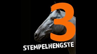 Stempelhengste Podcast - 3 Totilas