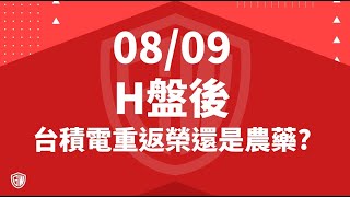 2024 08 09 H盤後 台積電重返榮還是農藥?