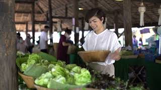 Harvesting And Enjoying The Fresh Produce From Your Aquaponics System