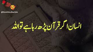 Insan Agar Quran Parh Raha ho To | Alla quotes| Hazrat Ali Quotes| Naikiwalibaatein