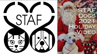 Save the Animals Foundation Dogs 2021 Holiday Video