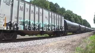 NS 4165 Leads 681 West at Davis Junction on the CP Chicago sub