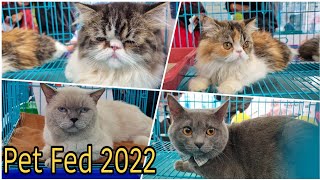 Cats Show and Multiple Breeds of Cats at Pet Fed 2022 - Part - 2 || All About Pets