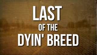 Lynyrd Skynyrd // Last of a Dyin' Breed (OFFICIAL LYRIC VIDEO)