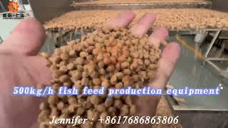 500kg  fish feed extuder  / Complete 500kg/h fish feed production line / floating fish feed machine