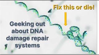 Geeking out about DNA damage repair (repair your DNA or die)