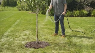 Fiskars® - How To Plant a Tree