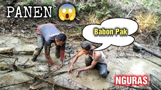 NGURAS IKAN DI TUMPUKAN PELEPAH SAWIT HASILNYA BIKIN MELONGGO 😲 #NGURAS