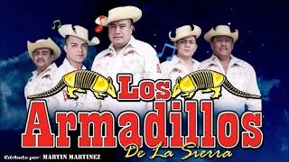 LOS ARMADILLOS DE LA SIERRA gregorio vargas