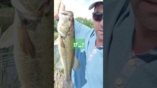 LONGEST LIGHTEST BASS EVER #fishing #bassfishing #whacky #plopper