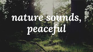 Wonderful relaxing music with nature sounds, peaceful music - Stress relief | Calm Music | Sleep