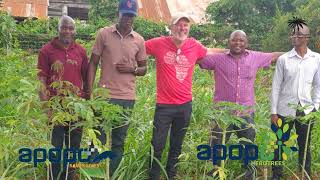 Dar es Salaam, from sandscape to abundant food forest in only 4 months