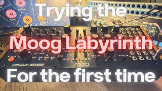 First minutes with the Moog Labyrinth (FX: Hologram Microcosm and CXM 1978)