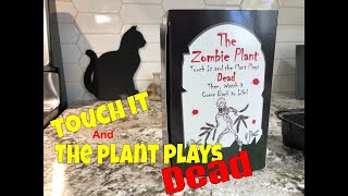 Zombie Plant Grow Kit / Tickle Me Plant (Mimosa Pudica)