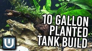 10g Planted Tank Aquarium Build - YOU CAN DO THIS TOO!