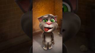 my Talking Tom and friends #shorts #funny #funnyanimal #cat #cute