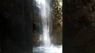 Tiger Fall -Chakrata #uttarakhand #dehradun #dehradunlove #nature