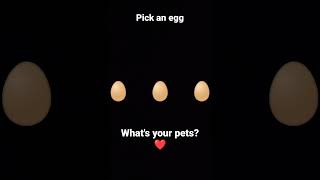 Pick an egg❤️