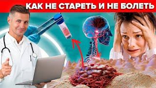 Профилактика ИНСУЛЬТА и РАКА: Как оставаться ЗДОРОВЫМ на долгие годы? Онлайн консультация