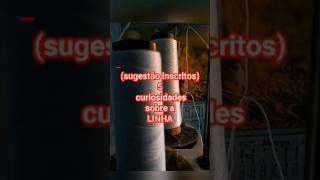 #276 5 curiosidades sobre a Linhas 🧷🧷🧷 #luke5curiosidades#linhas #shortvideos #viral