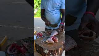 Fastest Expert Fish Cutter Tilapia Fish Cutting Skills Live in Fish Market #shorts