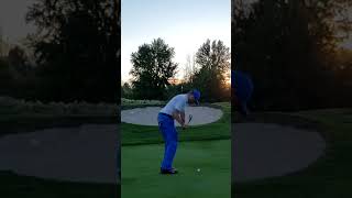 Driver Chip Birdie