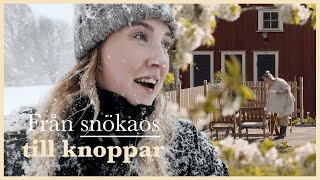 04. Från snökaos till knoppar & nytt second hand-skåp