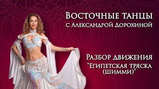 Разбор движения "Египетская тряска(шимми)" - Восточные танцы с Александрой Дорохиной