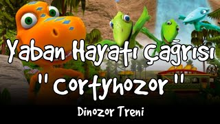 Dinozor Treni - Yaban Hayatı Çağrısı Cortyhozor - Bölüm 3 TRT Çocuk Türkçe izle