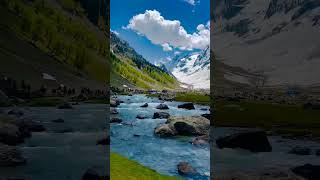 pahalgam| Betaab valley| srinagareventplanners #love #srinagar #gulmarg #kashmir #shorts