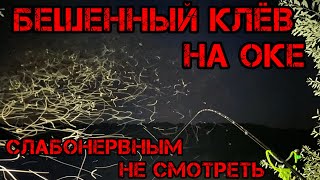 БЕШЕННЫЙ КЛЁВ на ОКЕ ПОПАЛ на РАЗДАЧУ СЛАБОНЕРВНЫМ НЕ СМОТРЕТЬ