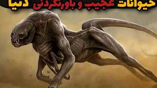 حیوانات عجیب و غریب ولی واقعی دنیا|۵حیوان عجیبی که از دیدنش شوکه و شگفت انگیز میشوید 😱