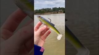 This Unique SWIMBAIT Catches GIANT Bass…