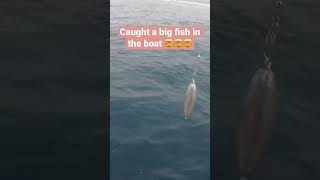 Caught a MASSIVE fish in the boat 🤯🤯🤯 #shorts #deepseafishing #fishing #boatfishing #fish