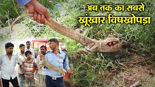 अब तक का सबसे खूंखार विषखोपड़ा का रेस्क्यू बाप रे बाप।Monitor Lizard Rescue  Snake Guru Sunil